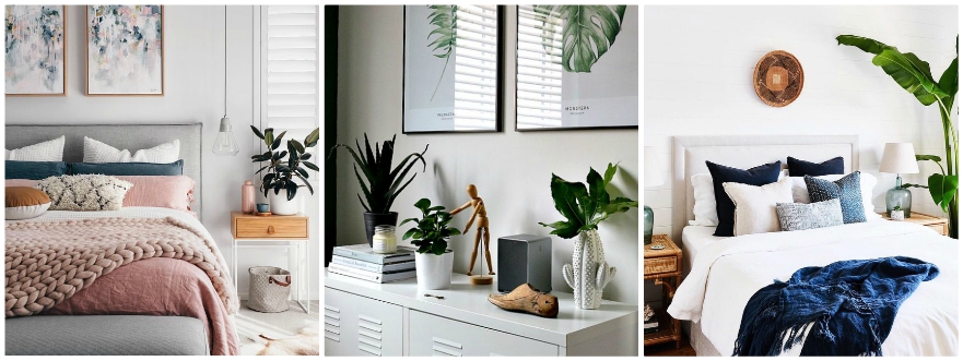 Plants in the home inspiration