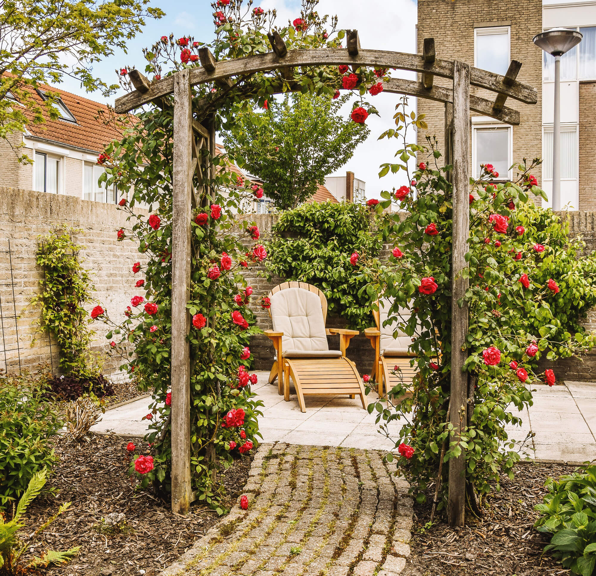 Get Your Garden Summer-Ready: Creative Ideas for Outdoor Living Featured Image